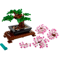 BOTANICALS - Bonsai Tree