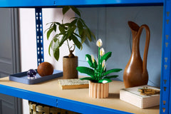 BOTANICALS - Peace Lily