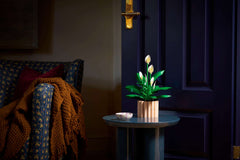 BOTANICALS - Peace Lily
