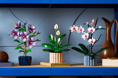 BOTANICALS - Peace Lily