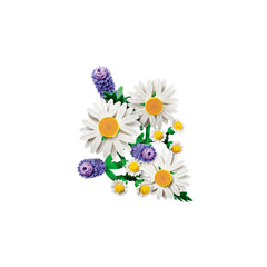 BOTANICALS - Daisies