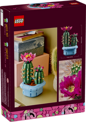 BOTANICALS - Flowering Cactus