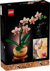 BOTANICALS - Mini Orchid