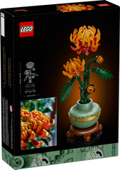 BOTANICALS - Chrysanthemum