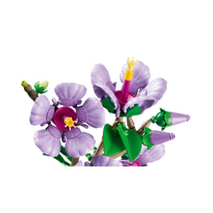 BOTANICALS - Hibiscus