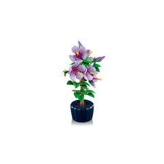 BOTANICALS - Hibiscus