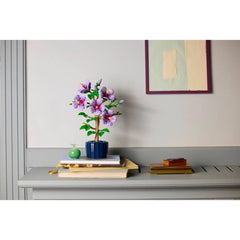 BOTANICALS - Hibiscus