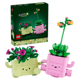 BOTANICALS - Rocking Plants
