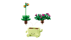 BOTANICALS - Rocking Plants