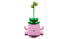 BOTANICALS - Rocking Plants