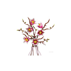 BOTANICALS - Magnolia Branches