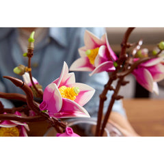 BOTANICALS - Magnolia Branches