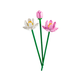 OTHER - Lotus Flowers