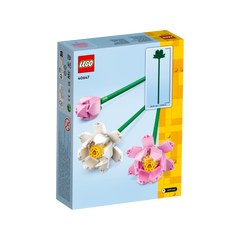 OTHER - Lotus Flowers
