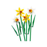 OTHER - Daffodils
