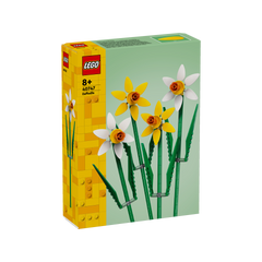 OTHER - Daffodils