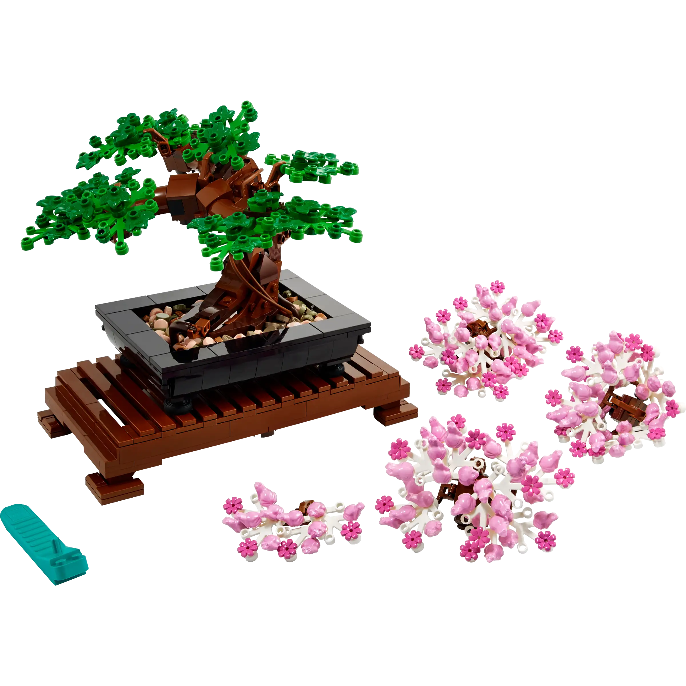 BOTANICALS - Bonsai Tree