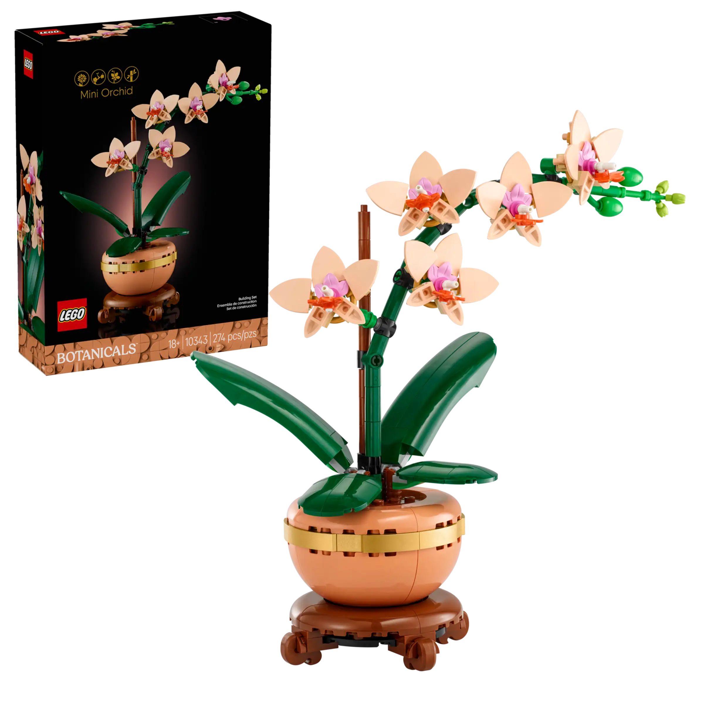 BOTANICALS - Mini Orchid