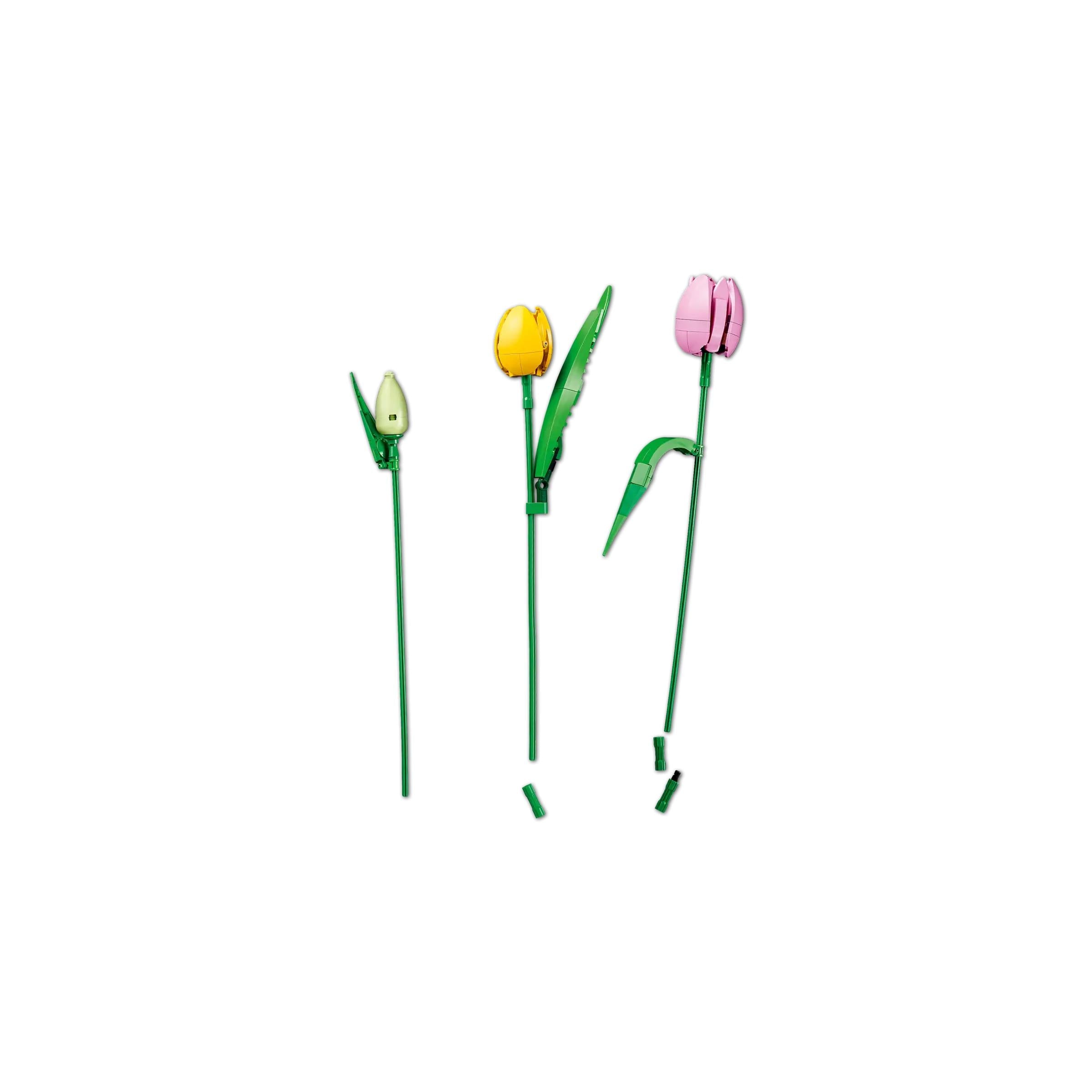 BOTANICALS - Tulip Bouquet