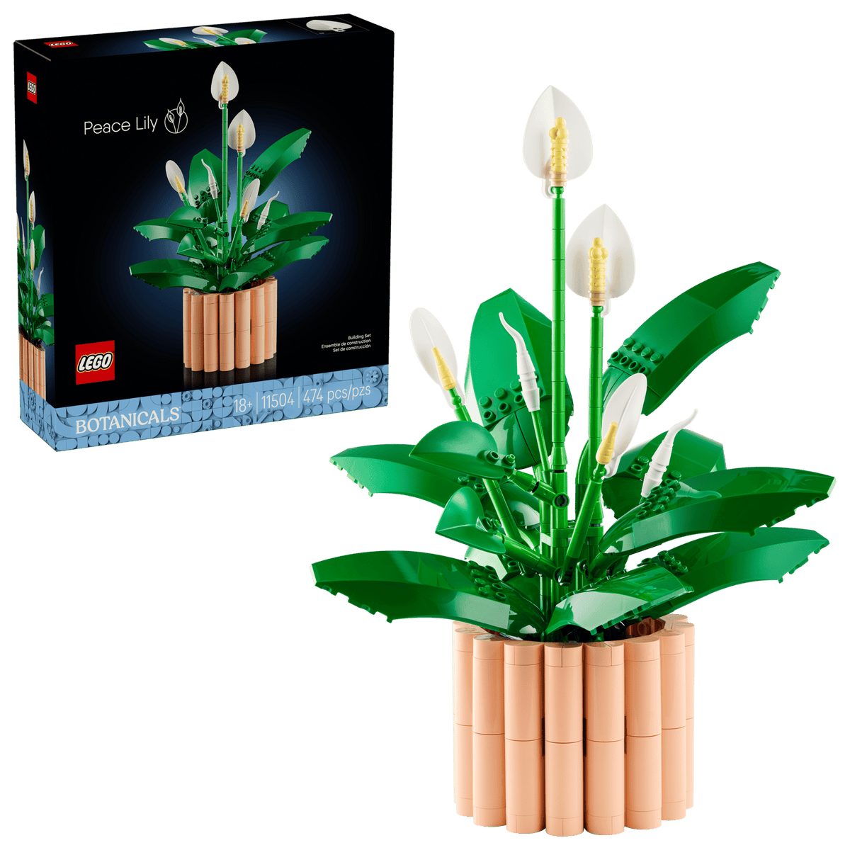 BOTANICALS - Peace Lily