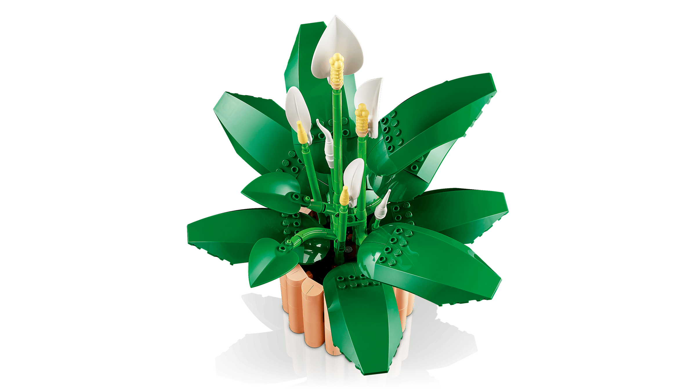 BOTANICALS - Peace Lily