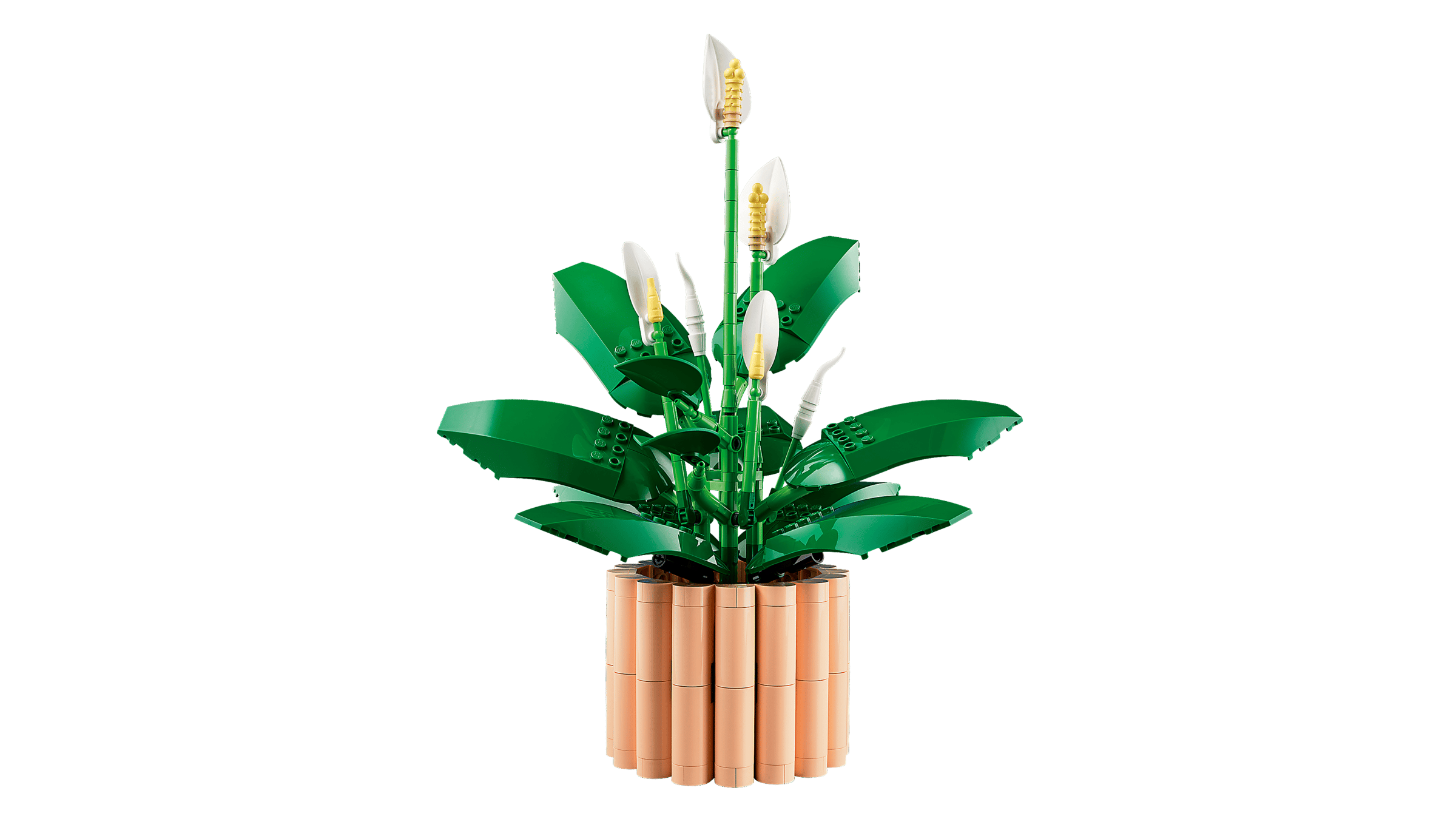 BOTANICALS - Peace Lily