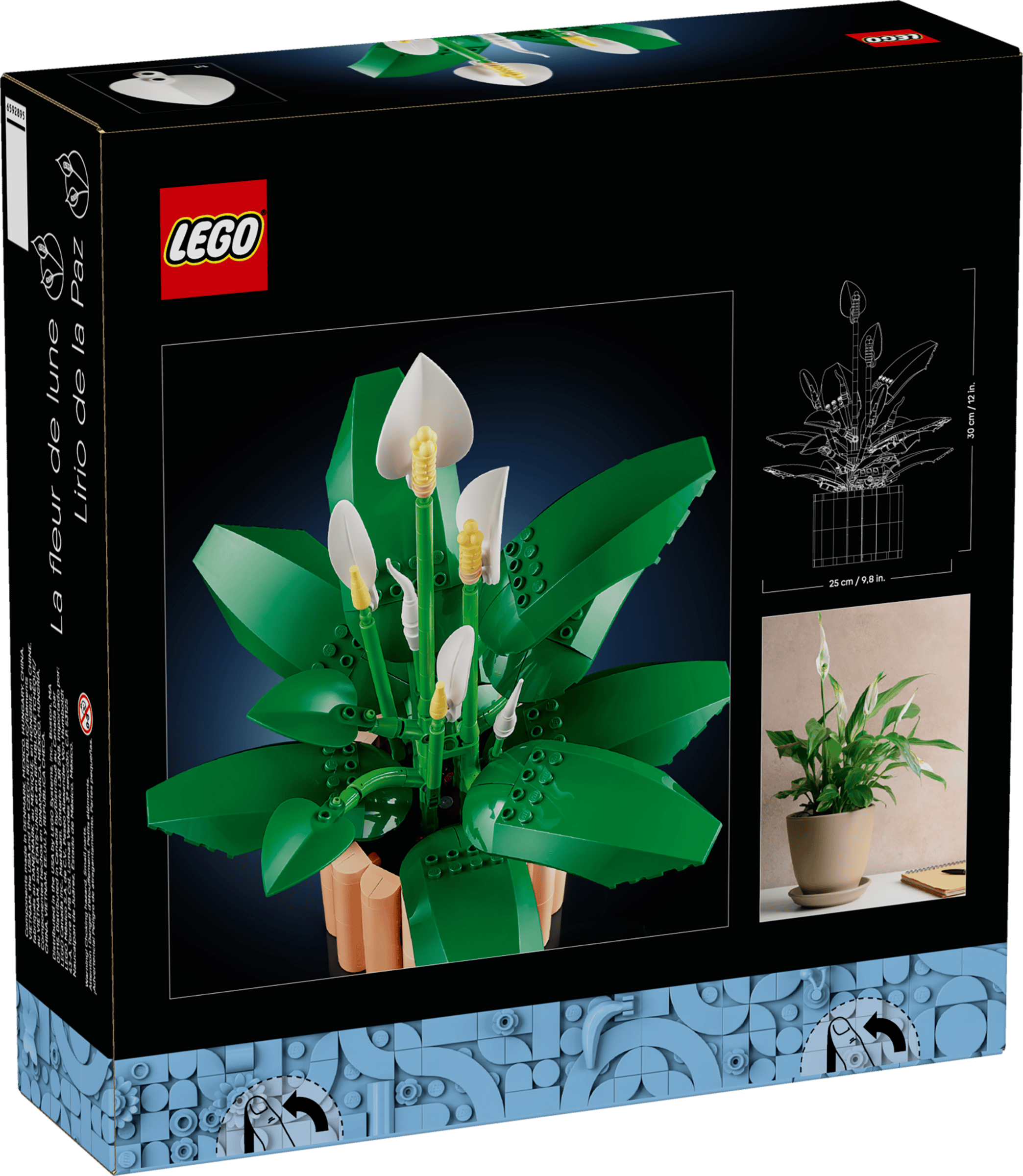 BOTANICALS - Peace Lily