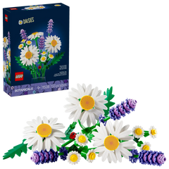 BOTANICALS - Daisies