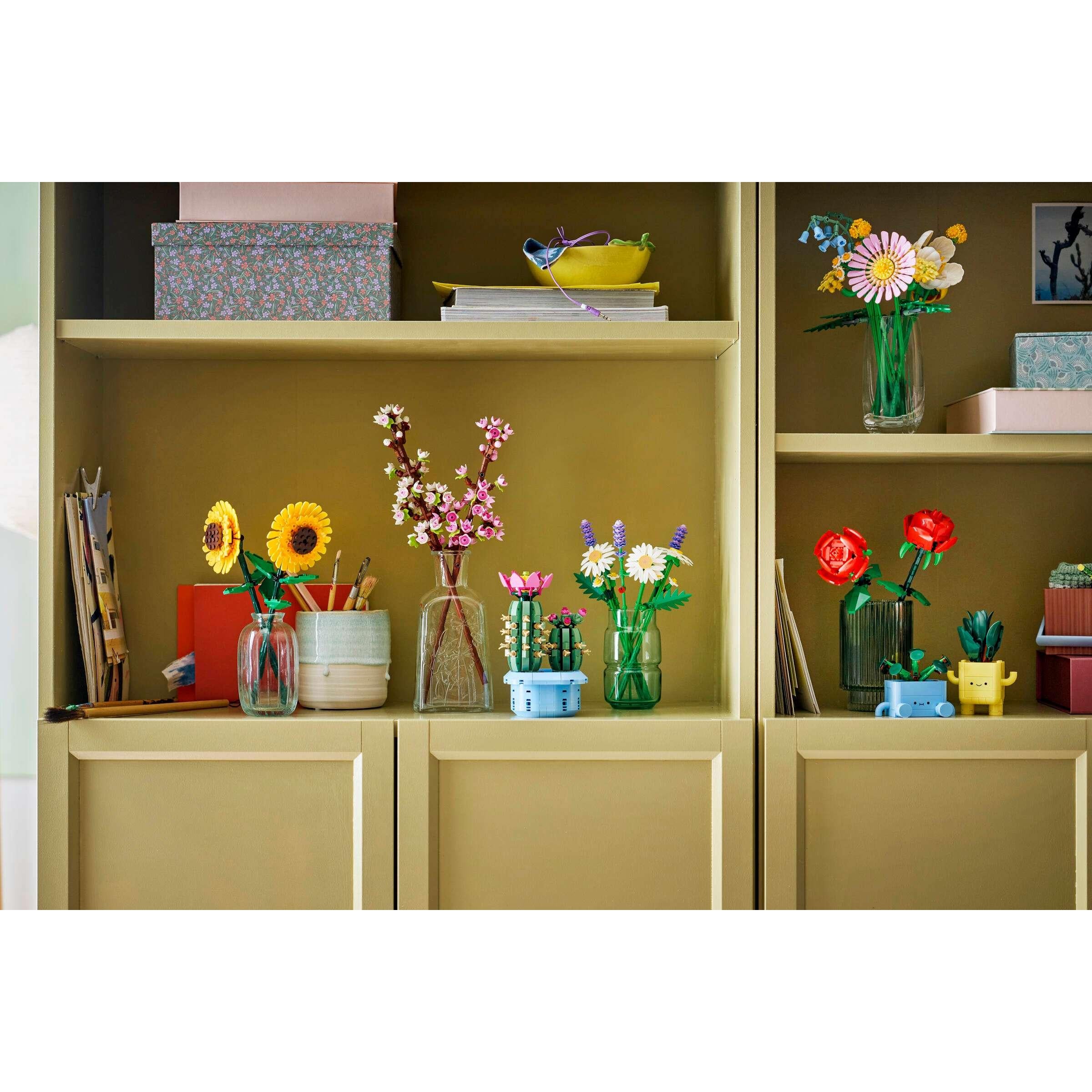 BOTANICALS - Daisies