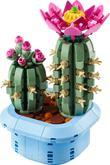 BOTANICALS - Flowering Cactus
