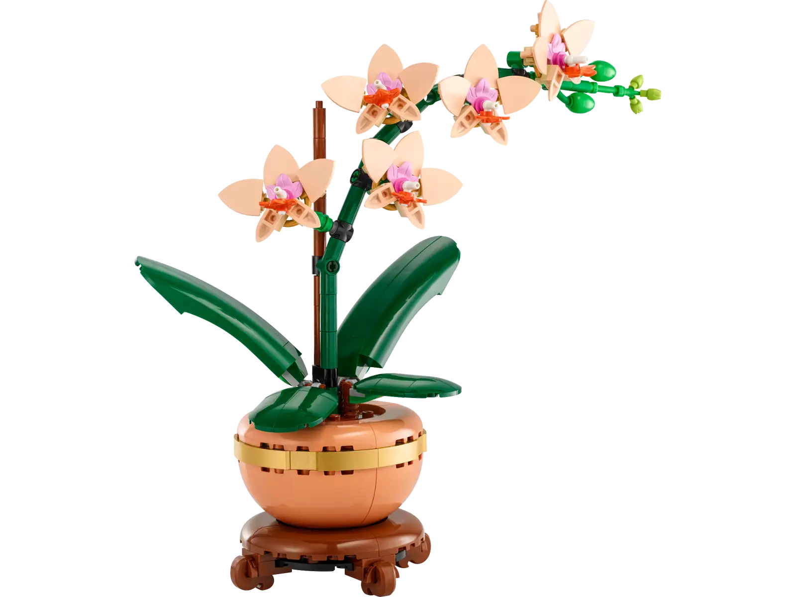 BOTANICALS - Mini Orchid