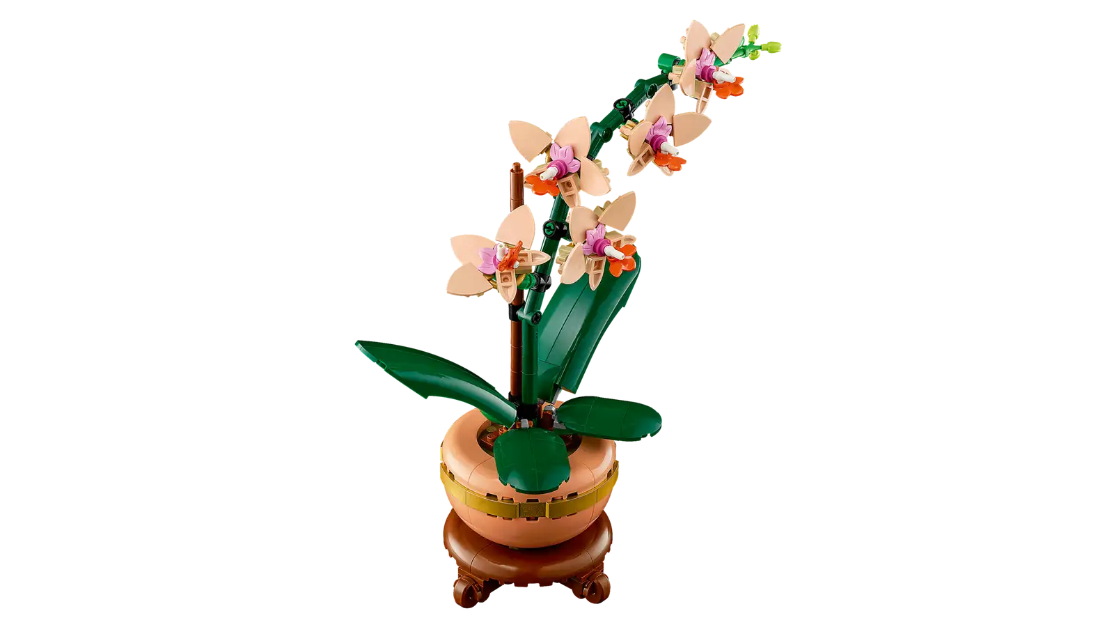 BOTANICALS - Mini Orchid