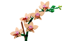 BOTANICALS - Mini Orchid