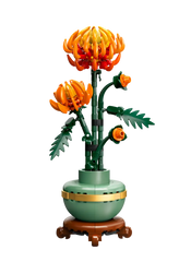 BOTANICALS - Chrysanthemum