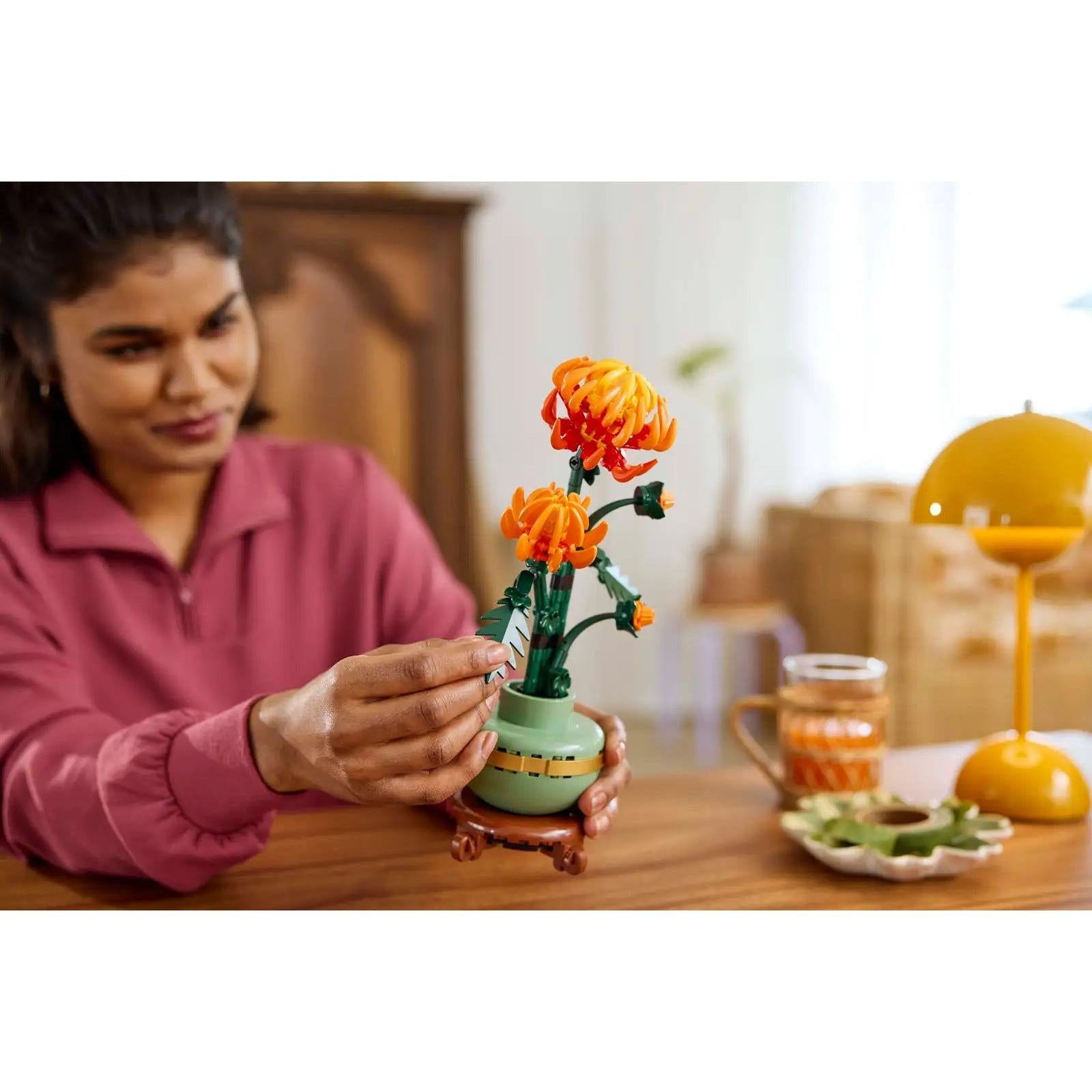 BOTANICALS - Chrysanthemum