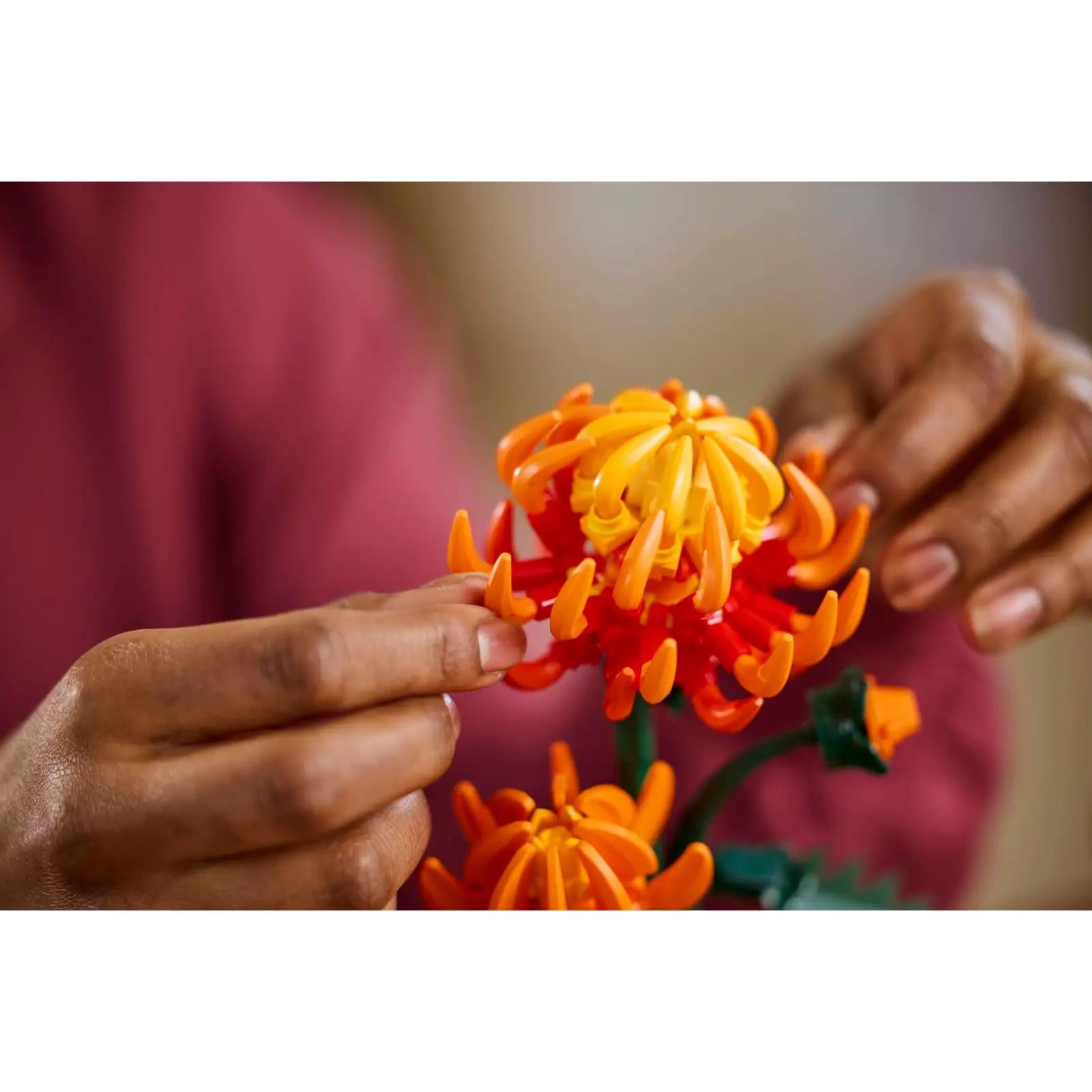 BOTANICALS - Chrysanthemum