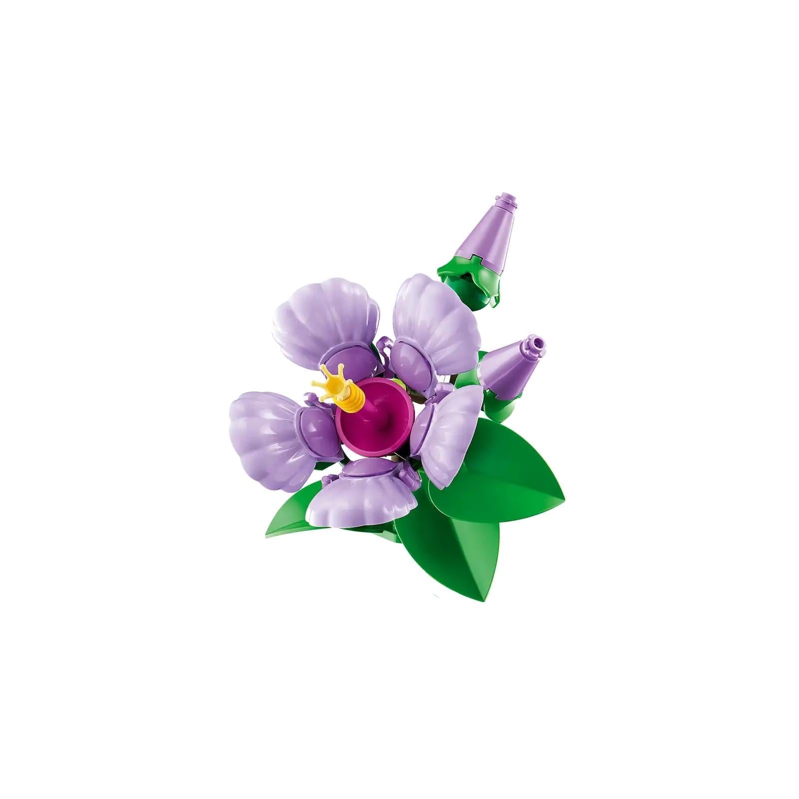 BOTANICALS - Hibiscus