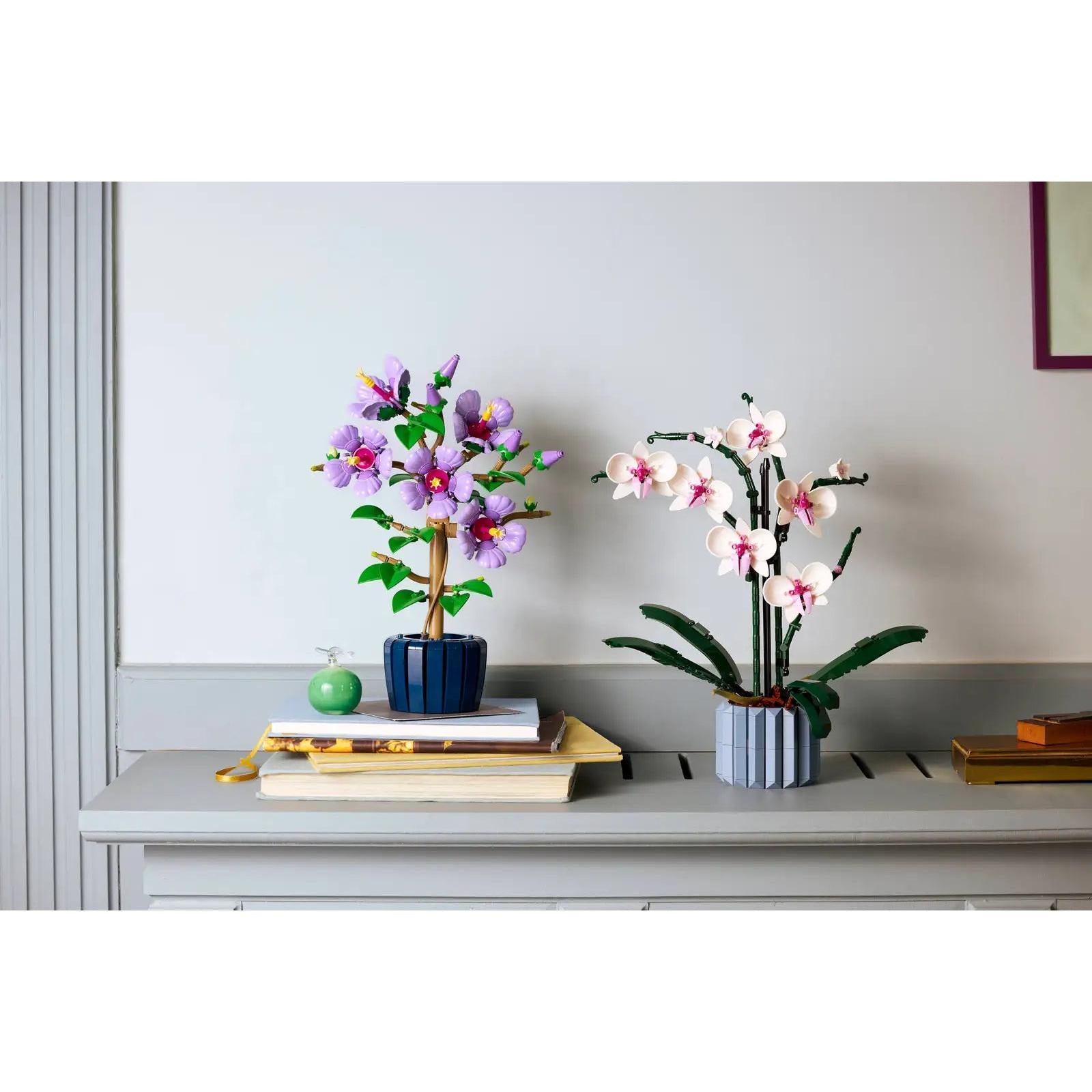 BOTANICALS - Hibiscus