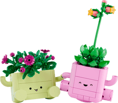 BOTANICALS - Rocking Plants