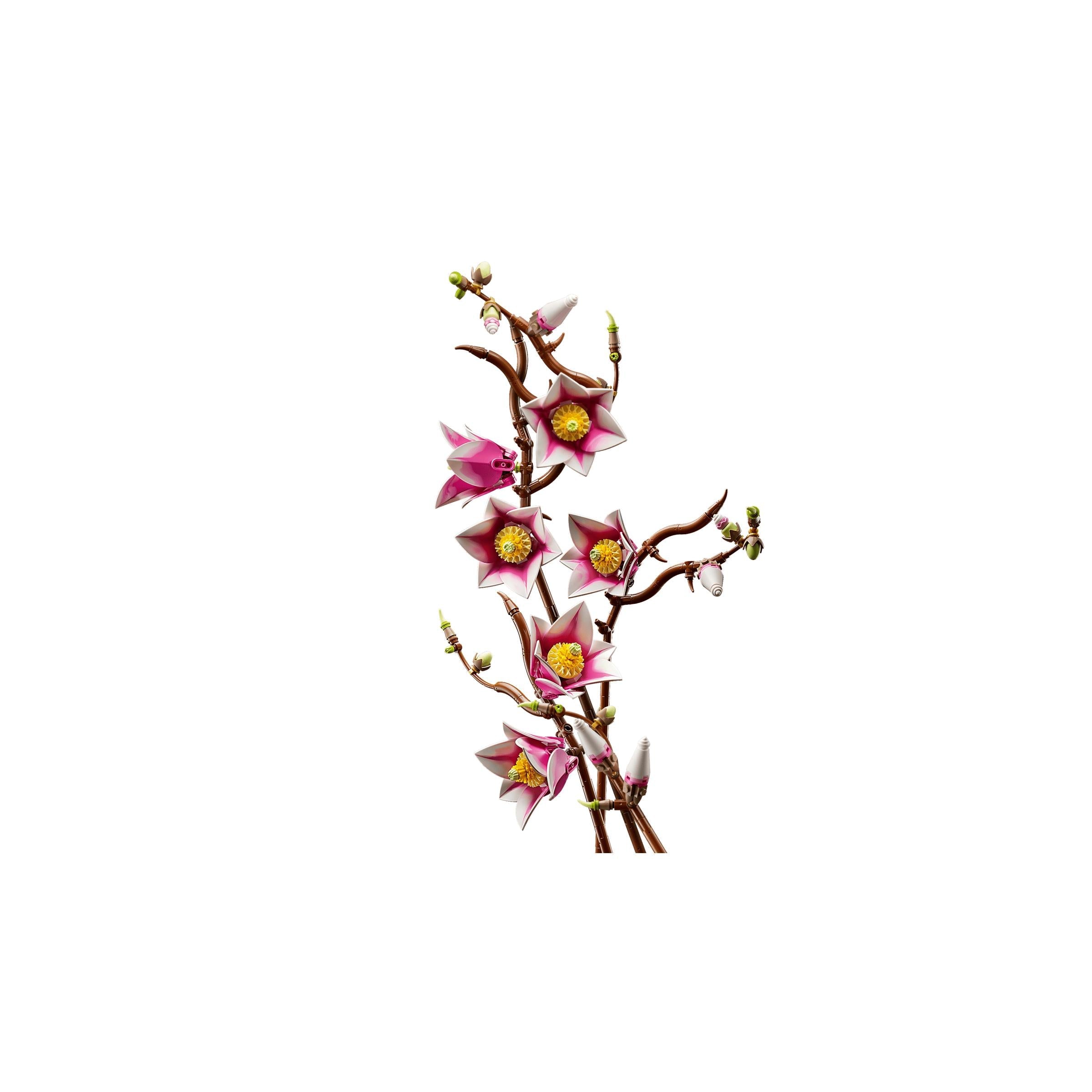 BOTANICALS - Magnolia Branches