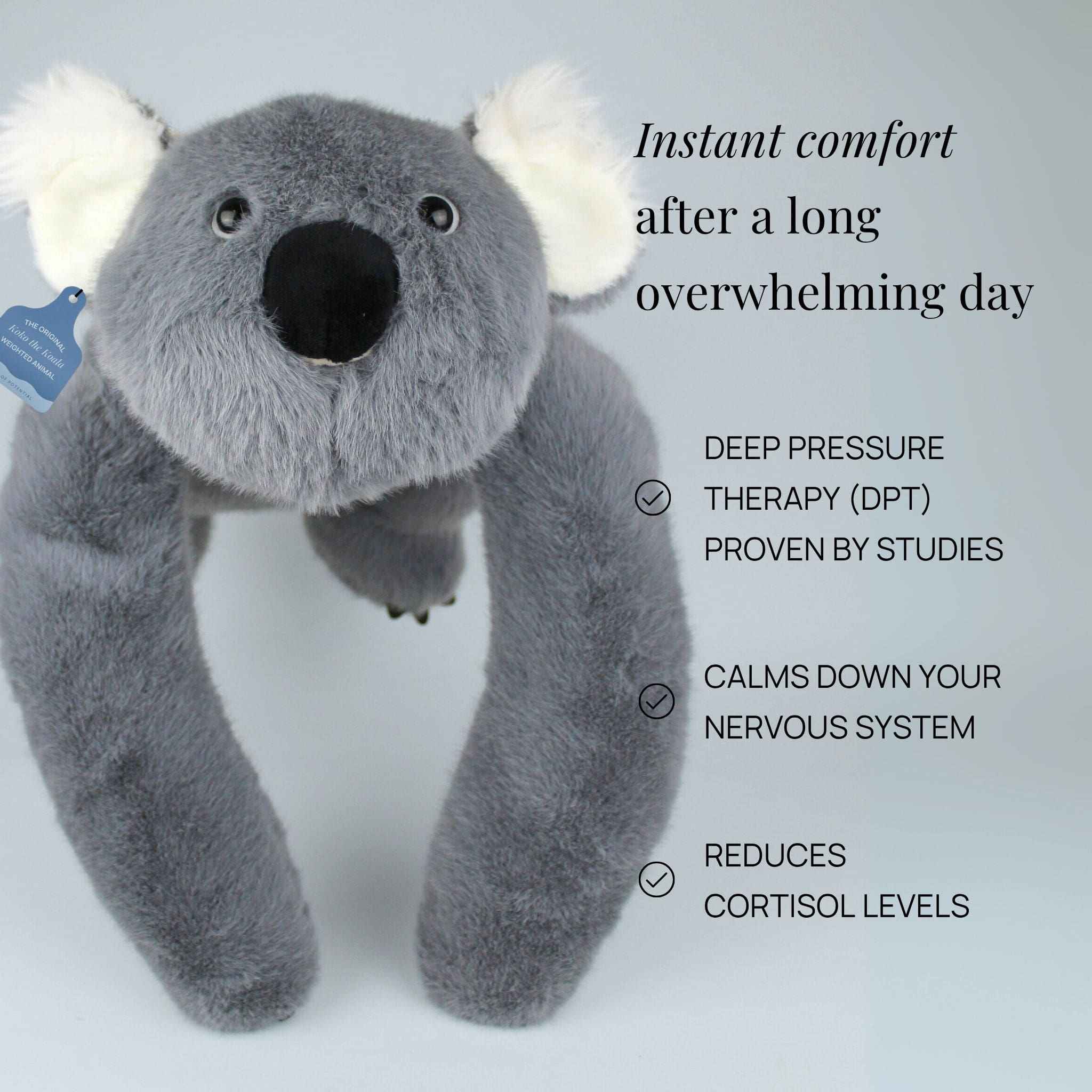 Koko the Koala Weighted Animal