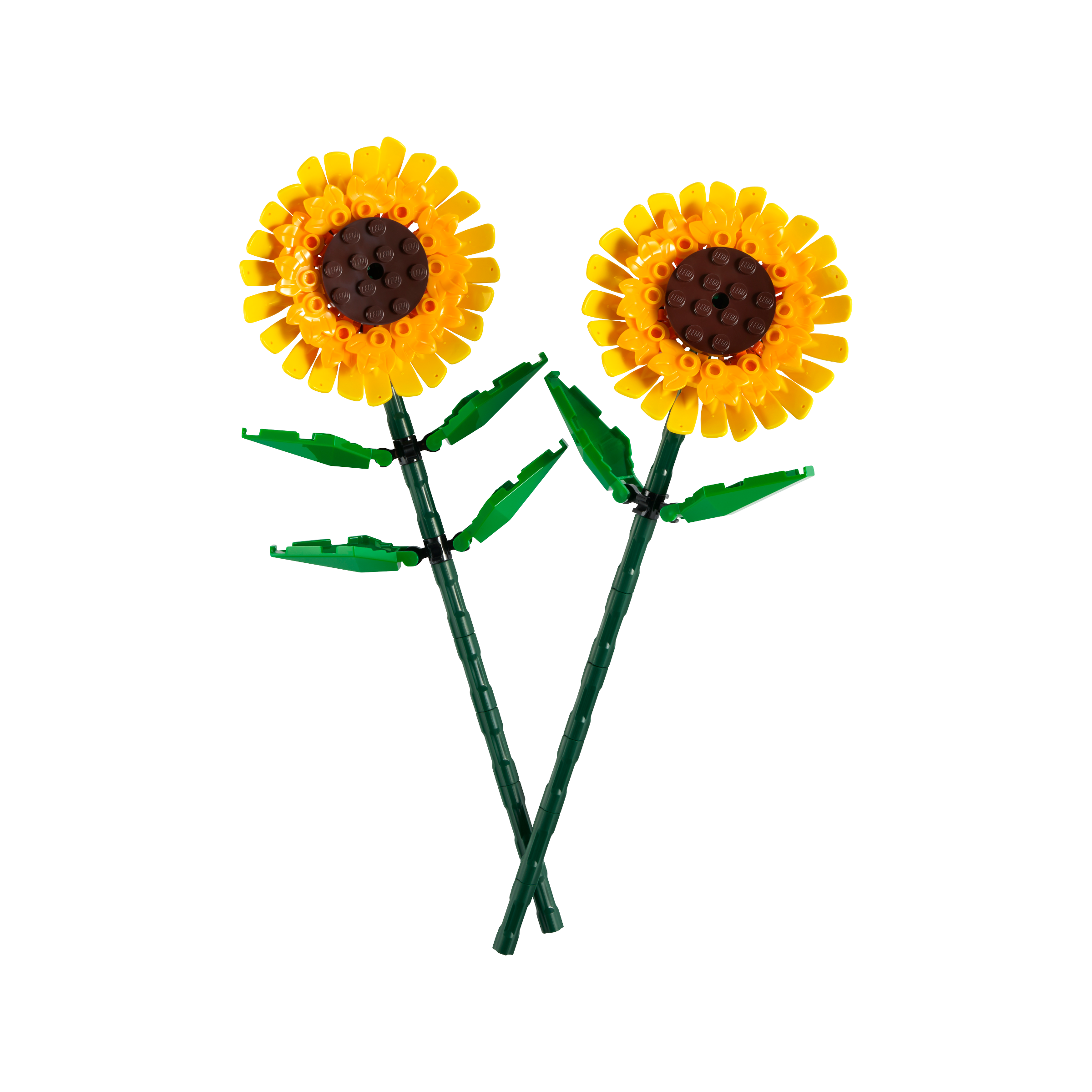 OTHER - Sunflowers