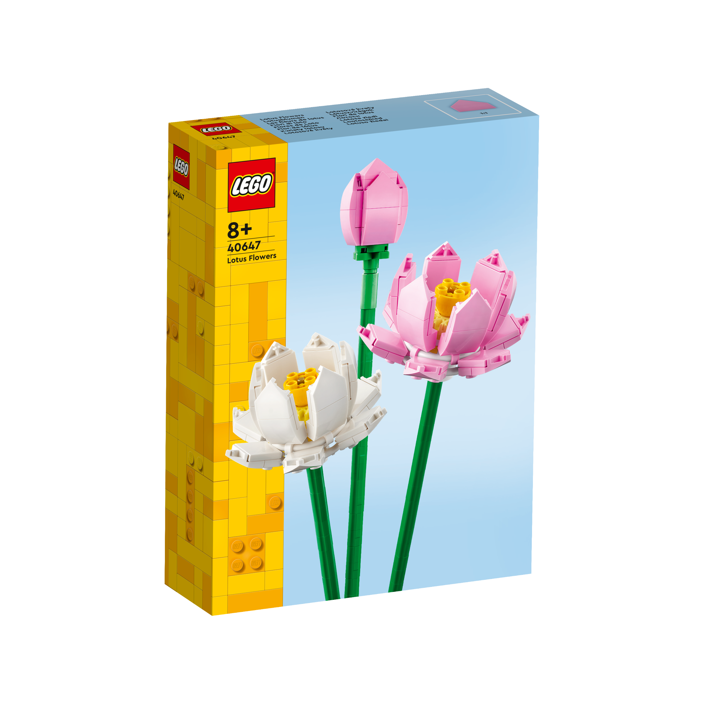 OTHER - Lotus Flowers