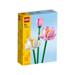 OTHER - Lotus Flowers