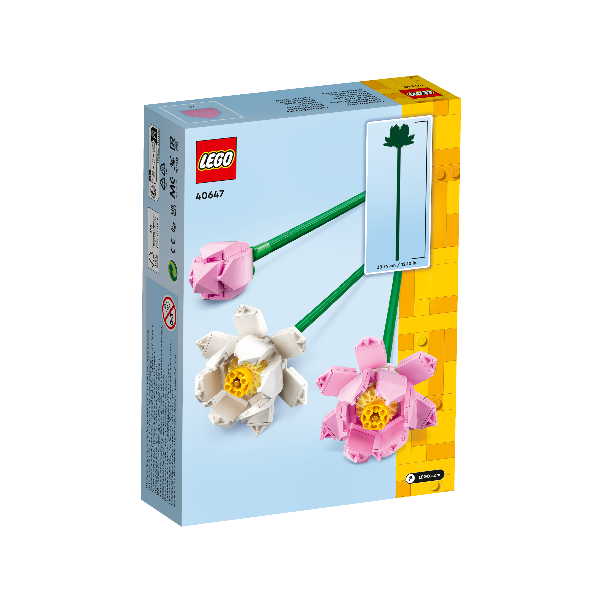 OTHER - Lotus Flowers