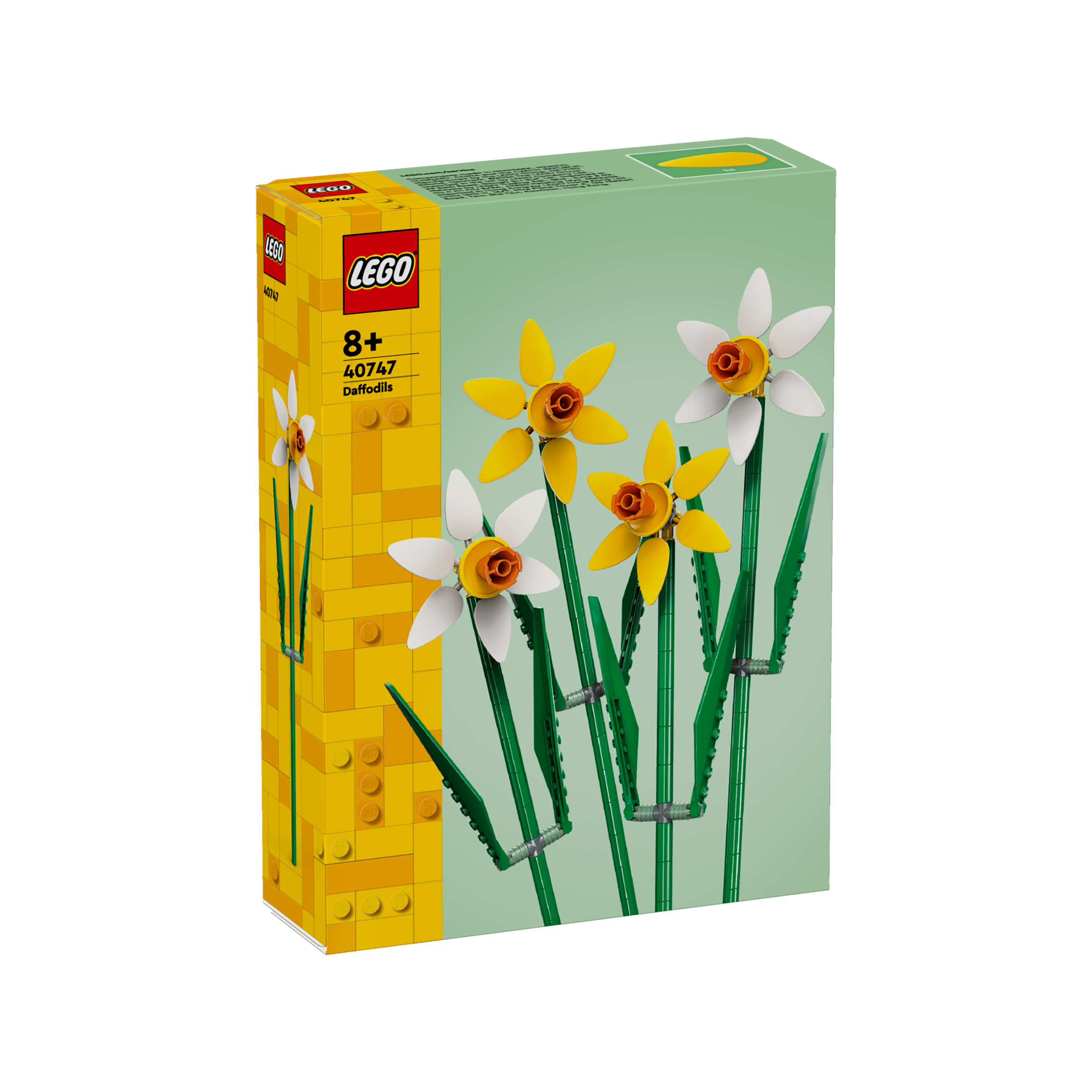 OTHER - Daffodils