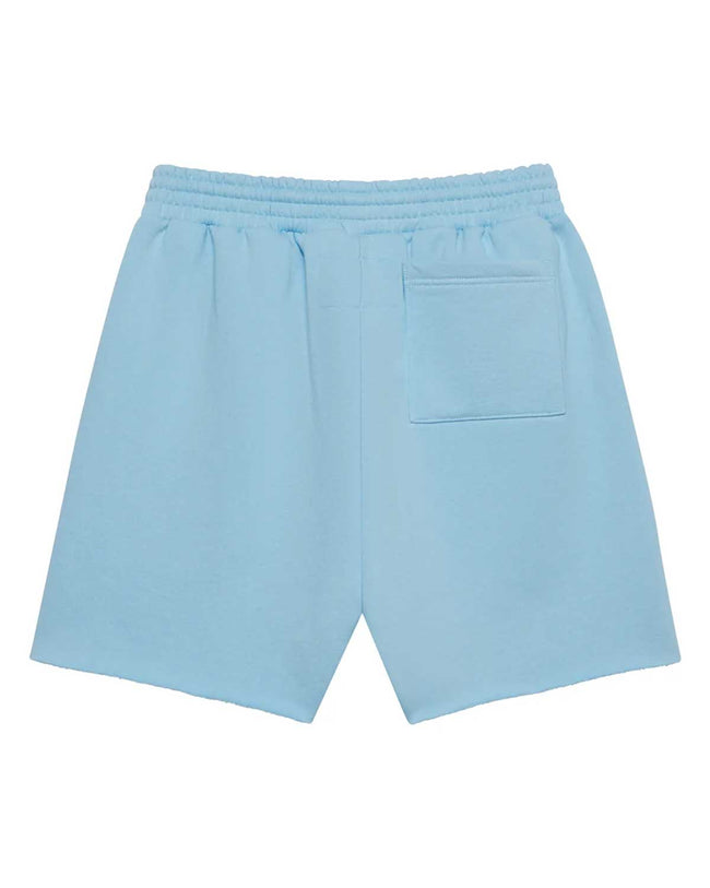Sp5der OG Web Sweatshorts Sky Blue Main Image