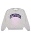 Sp5der Varsity Web Crewneck Heather Grey